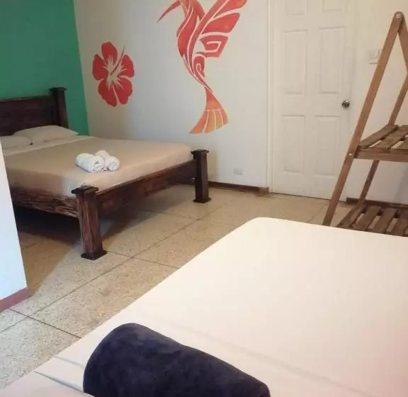 Lost In San Jose Hotel & Hostel