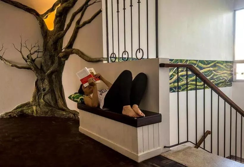 Lost In San Jose Hotel & Hostel