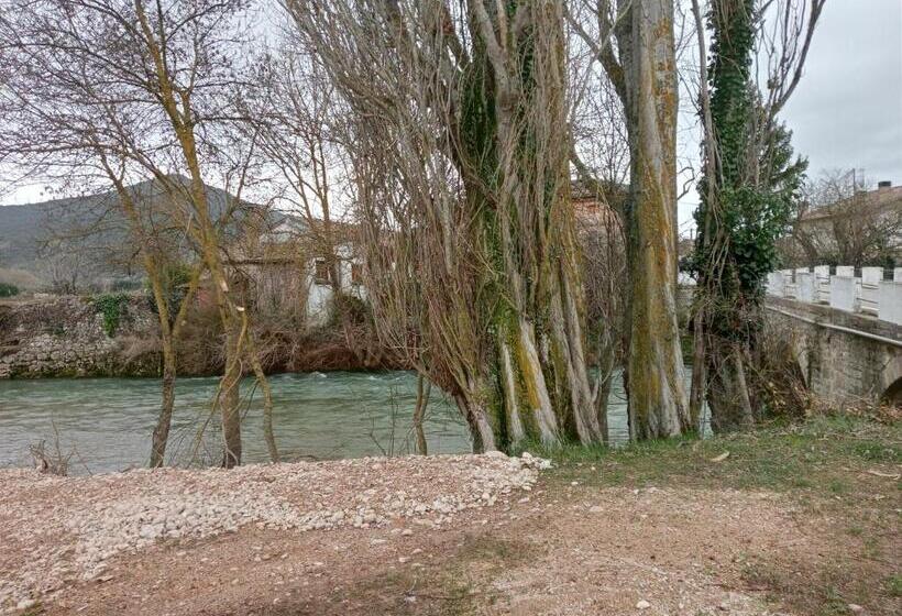 Pensione Larrion Hostal   Ostatua