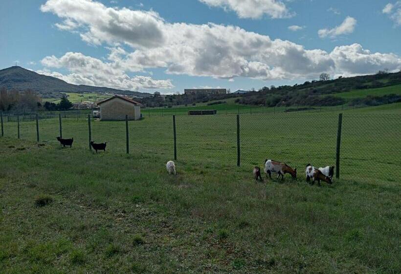 Pensione Larrion Hostal   Ostatua