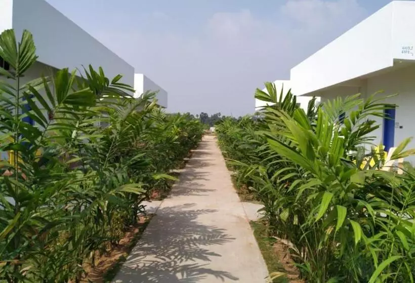 Riviera Beach Resort