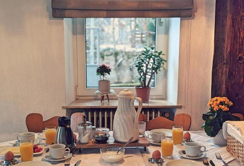 הוסטל Gästehaus Zum Goldberg