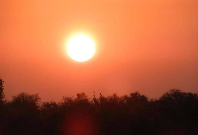 Bed and Breakfast Bongan Safari Lodge