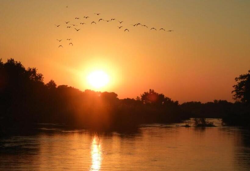 Bed and Breakfast Bongan Safari Lodge