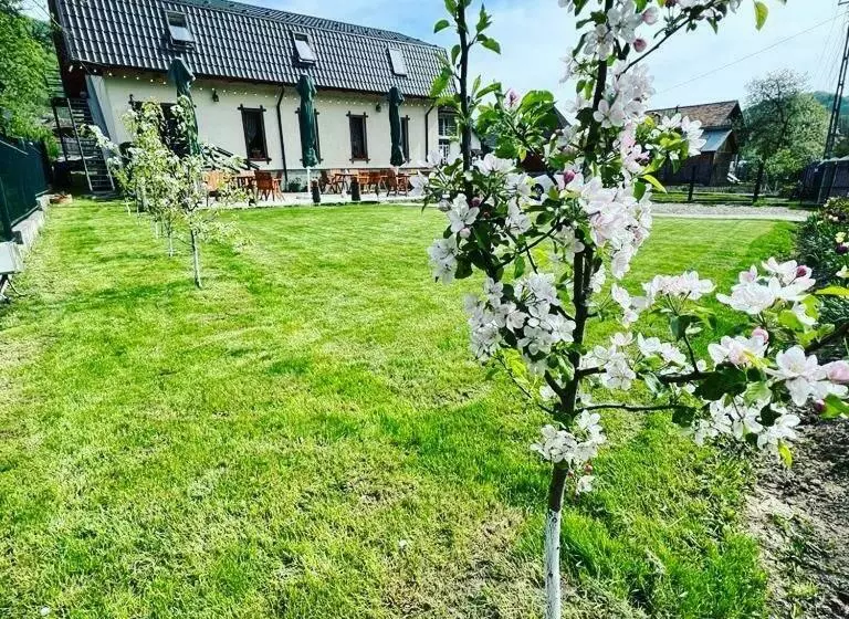 Aamiaismajoitus (B&B) Magic Rooms