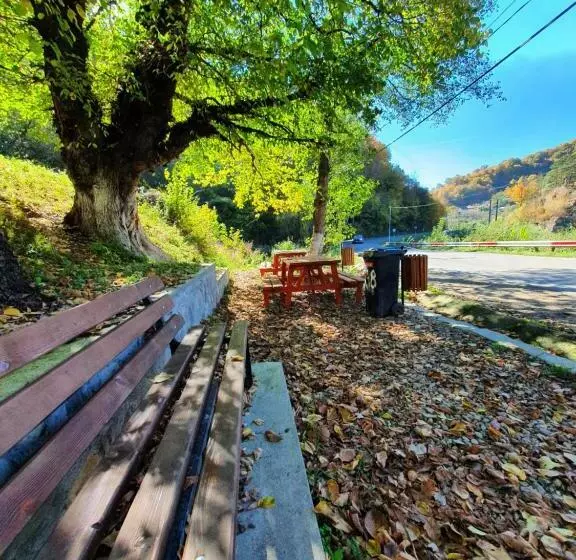 Aamiaismajoitus (B&B) Magic Rooms