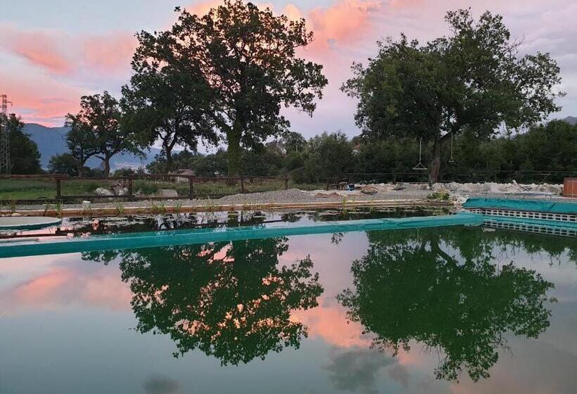 ホテル Agriturismo Albero Del Miele