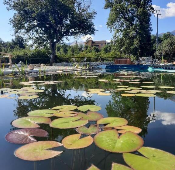 ホテル Agriturismo Albero Del Miele