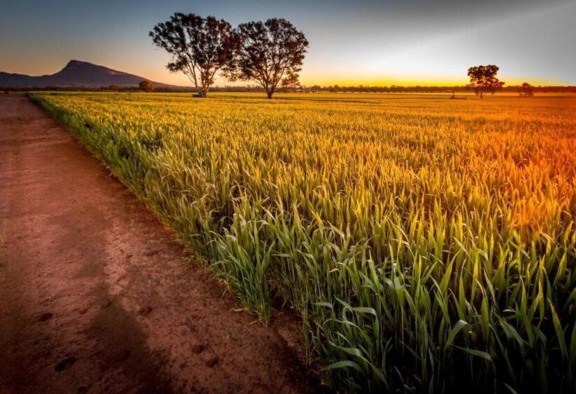 호텔 Avalon Farm Stay