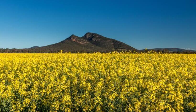 호텔 Avalon Farm Stay