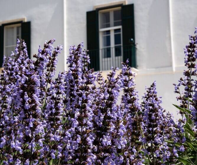 هتل Masseria Filippo De Raho   Agri Bio Relais