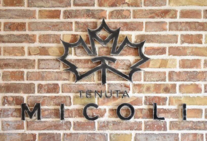 酒店 Tenuta Micoli