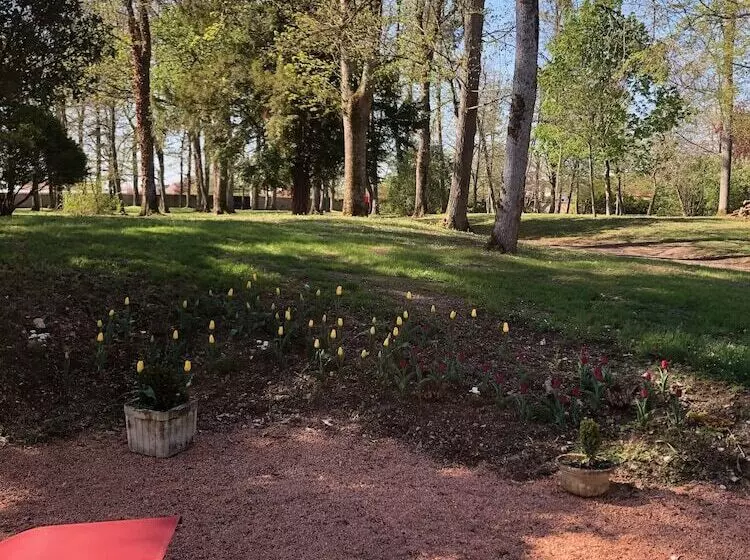 Majatalo Château De Charmeil  Vichy Chambres D Hôtes