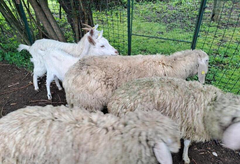 ペンション Grazzano Antica Stazione