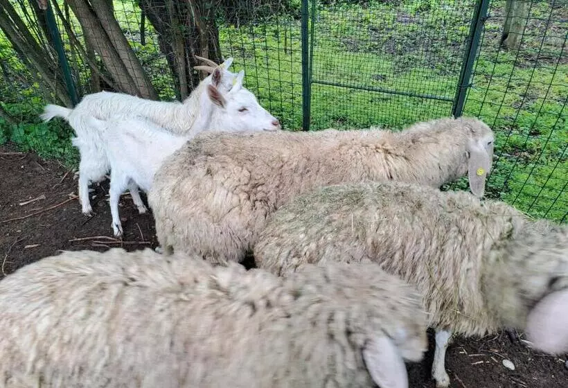 ペンション Grazzano Antica Stazione