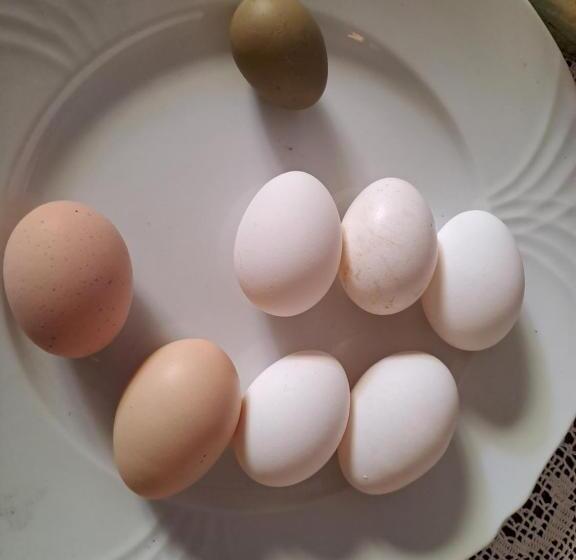 ペンション Grazzano Antica Stazione