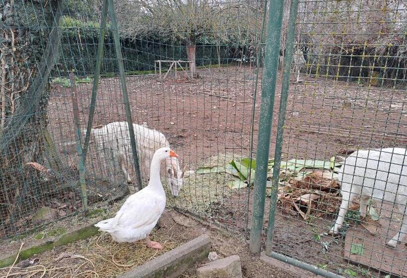 ペンション Grazzano Antica Stazione