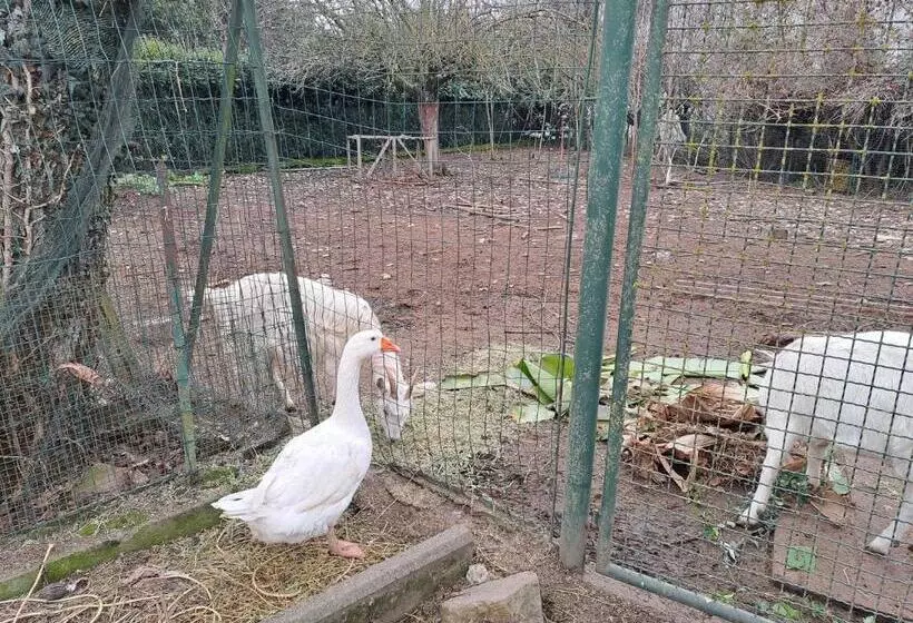 ペンション Grazzano Antica Stazione