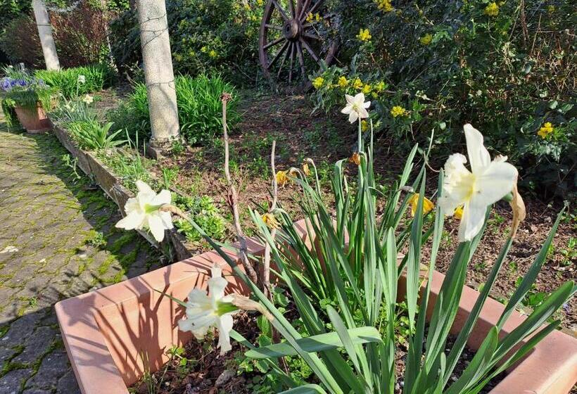 ペンション Grazzano Antica Stazione