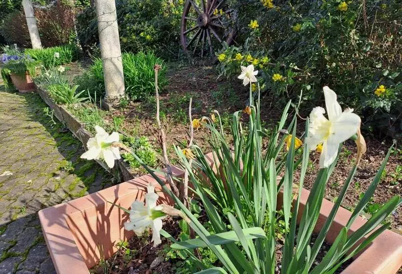 ペンション Grazzano Antica Stazione