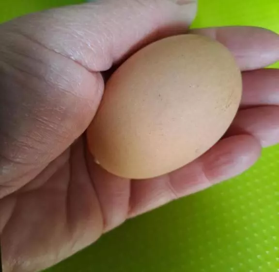 ペンション Grazzano Antica Stazione