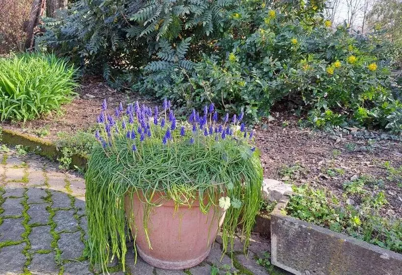 ペンション Grazzano Antica Stazione