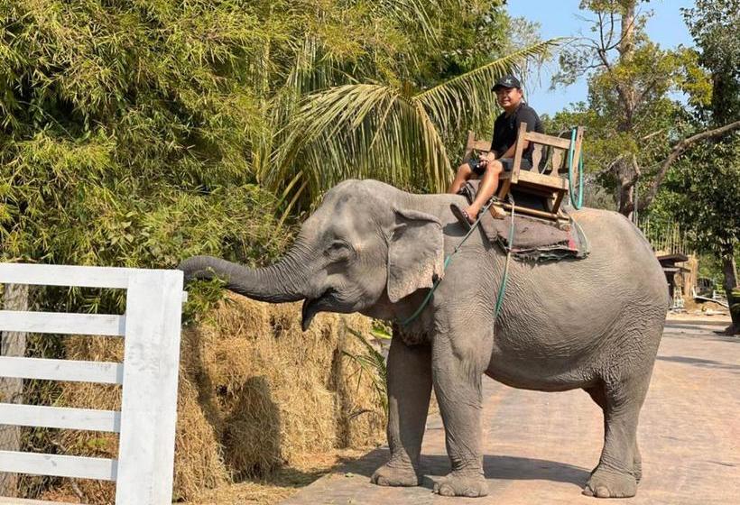 بنسيون Paiberngboc Resort
