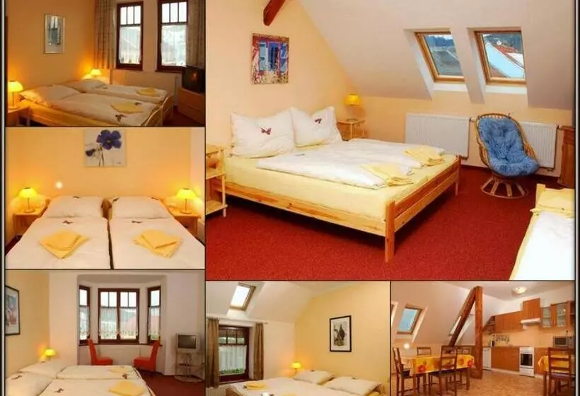 ペンション Penzion Apex