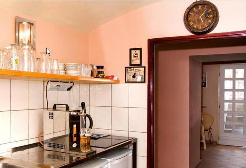 بنسيون Penzion Apex