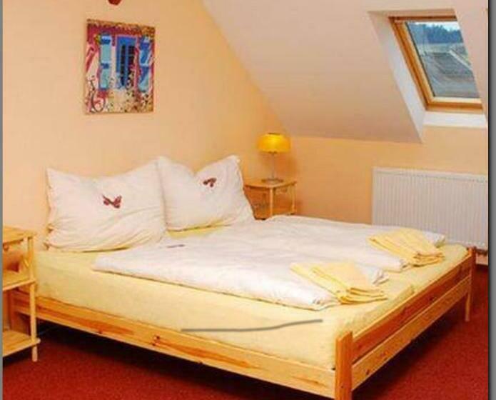 بنسيون Penzion Apex