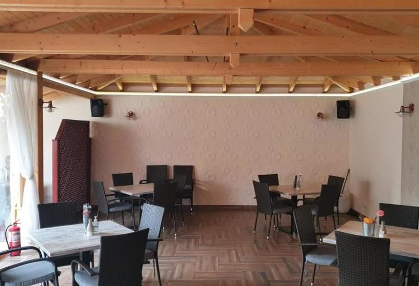 Pensiune Restaurant Ovidiu