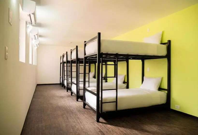 ユースホステル Colorbox Beds And Rooms