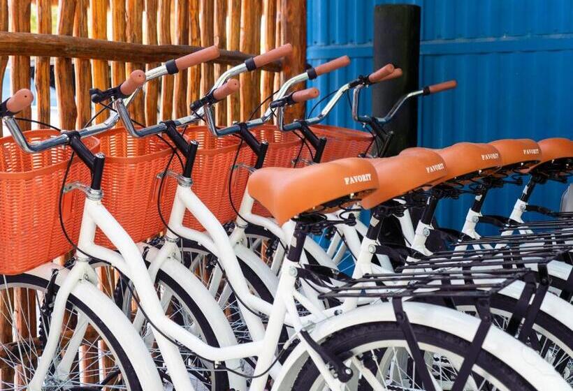 Hostel Colorbox Beds And Rooms