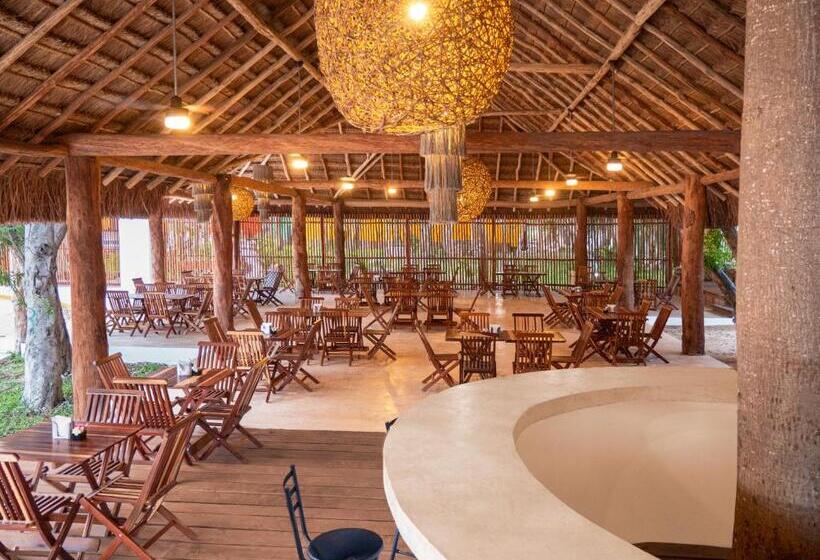 Hostel Colorbox Beds And Rooms