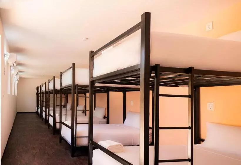 ユースホステル Colorbox Beds And Rooms