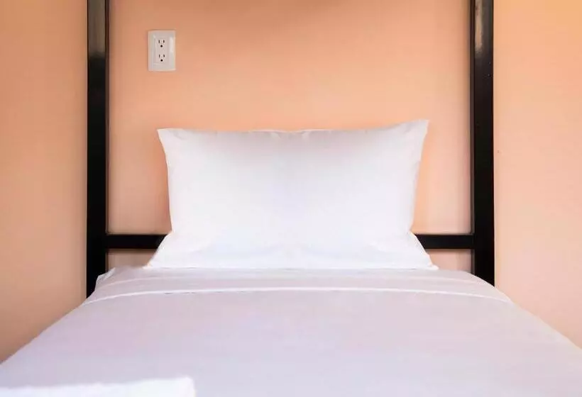 ユースホステル Colorbox Beds And Rooms