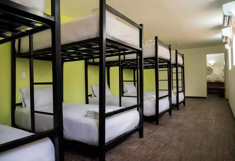 ユースホステル Colorbox Beds And Rooms