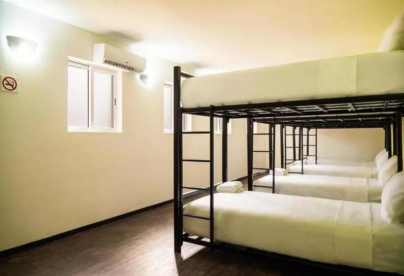 ユースホステル Colorbox Beds And Rooms