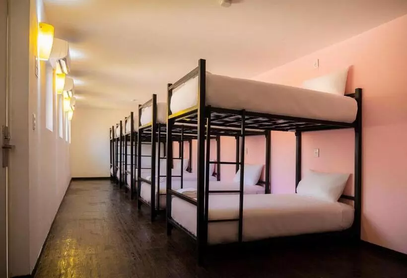 ユースホステル Colorbox Beds And Rooms