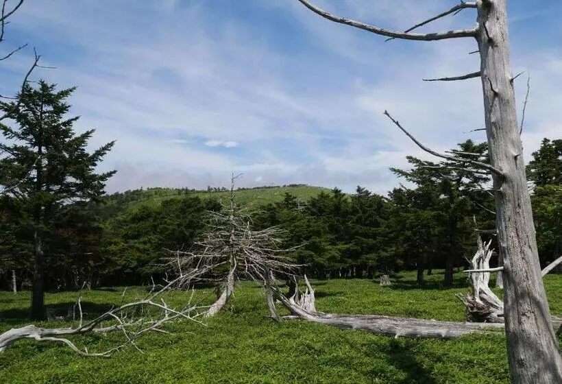 Hotelli Forest Kamikita