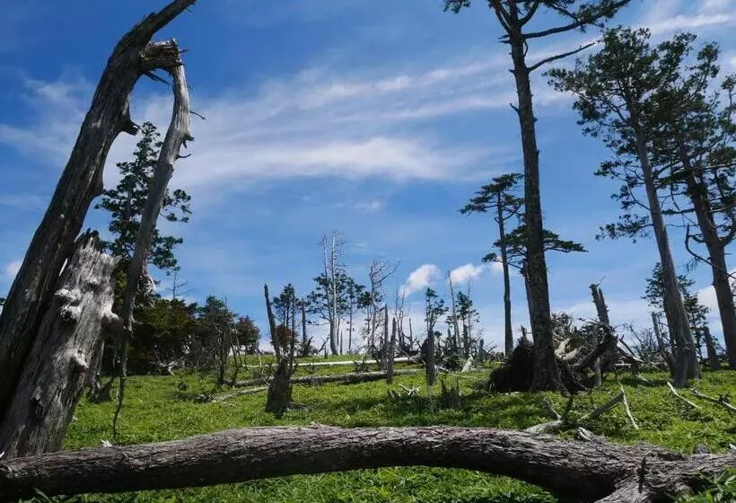 Hotelli Forest Kamikita