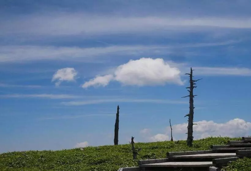 Hotelli Forest Kamikita