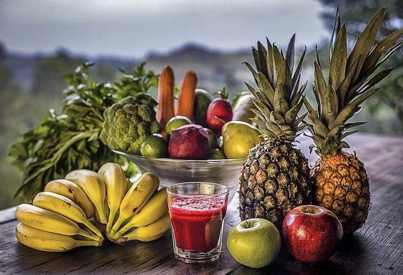 호텔 Hospedaria Casa Da Pedra