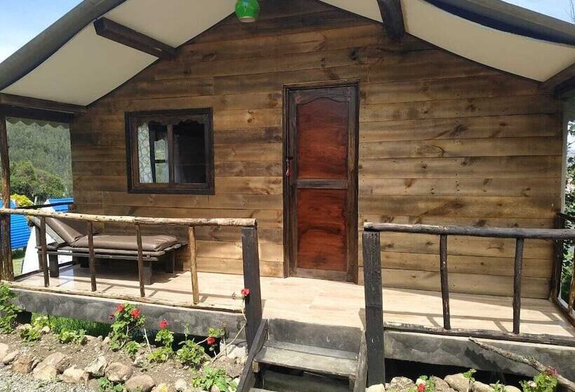 Отель Las Cabañas Mongui