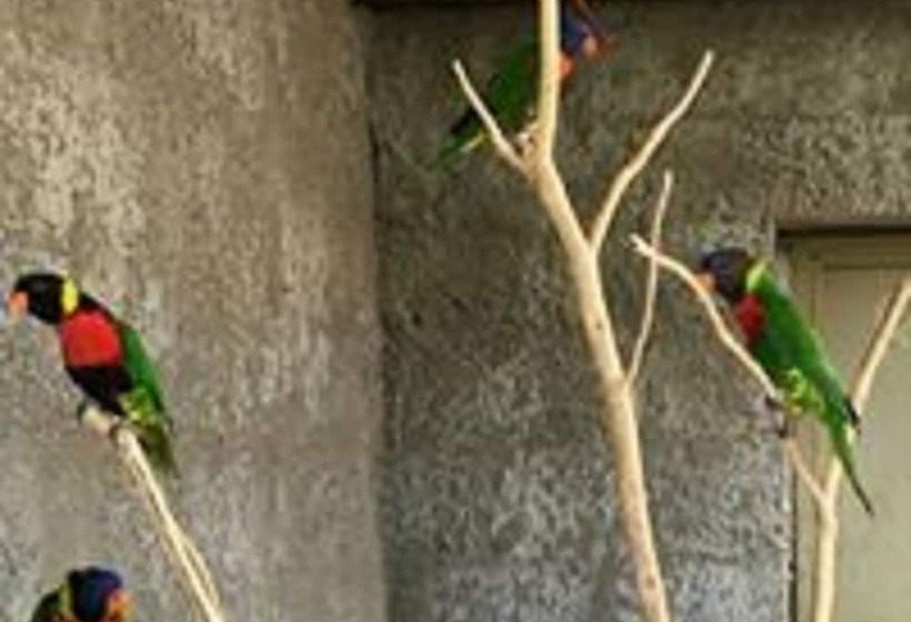 هتل Tiffany S Canyon Lodge