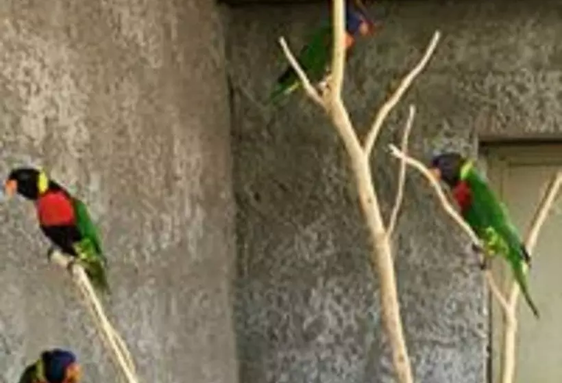 هتل Tiffany S Canyon Lodge