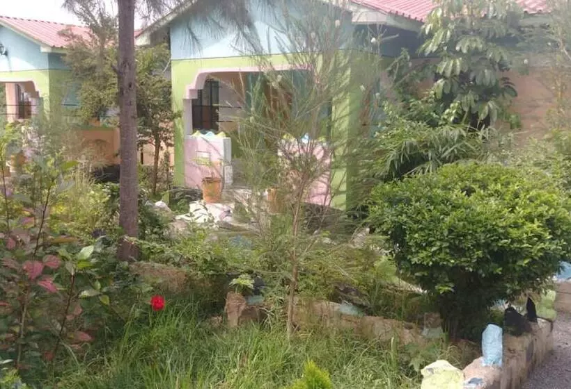 هتل Winner's Resort