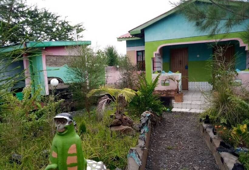 هتل Winner's Resort