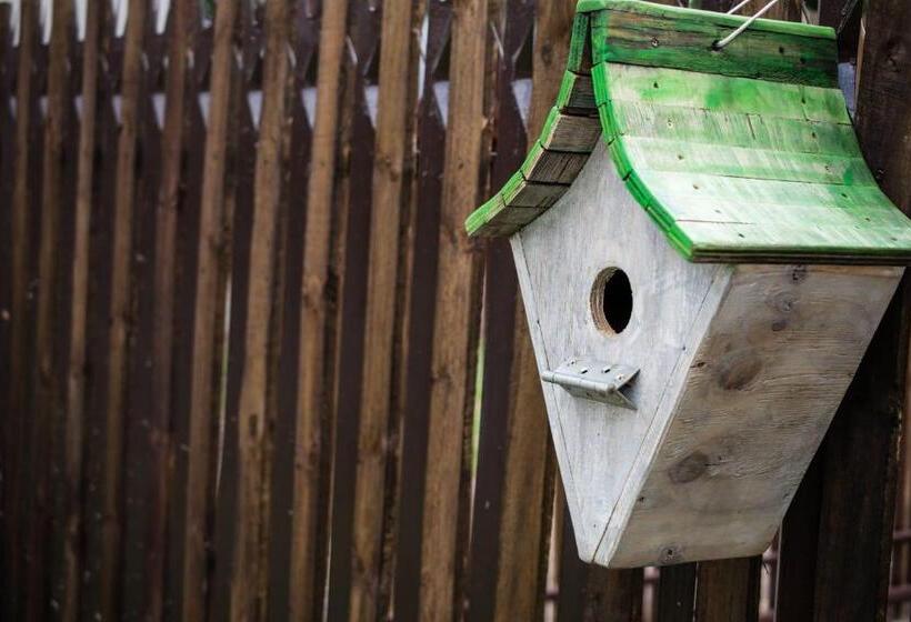 Пансион Up21 Guest House