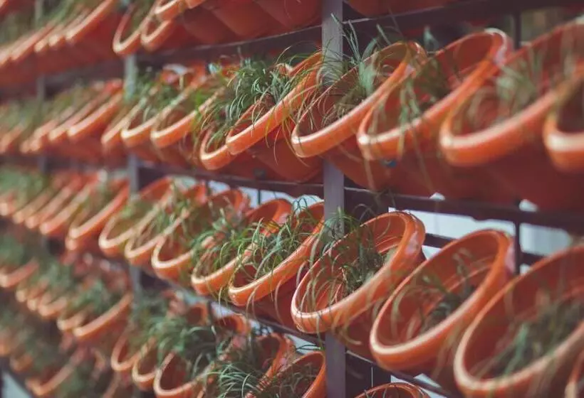 ホテル The Solitaire Express